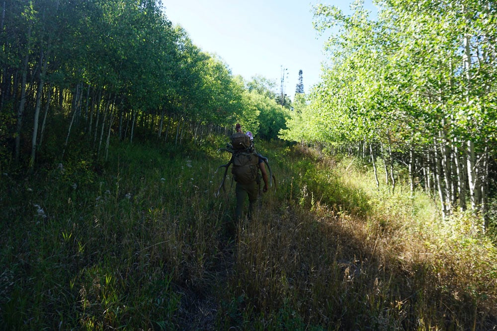091624_Russ Carone-ELK-CO-DIY-PL_IMG_0014_edited