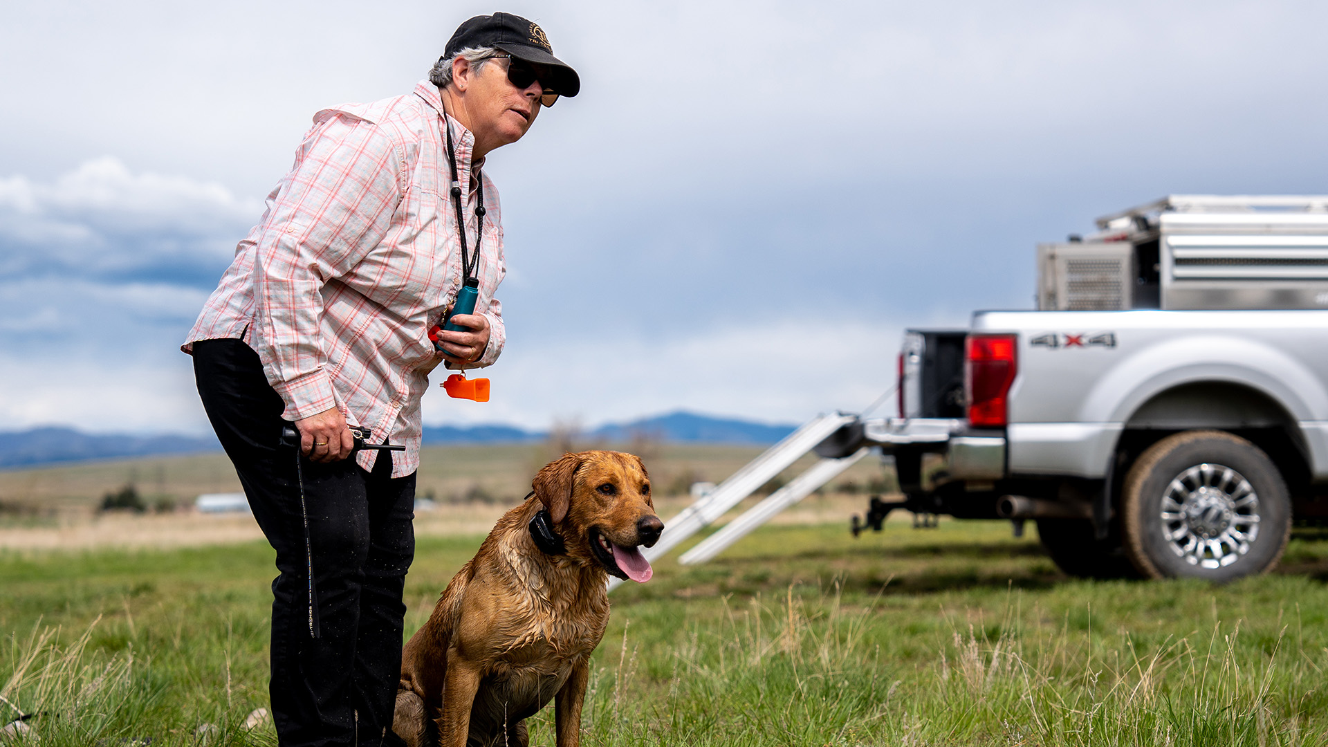 Wingbeats_Dog_Training_04