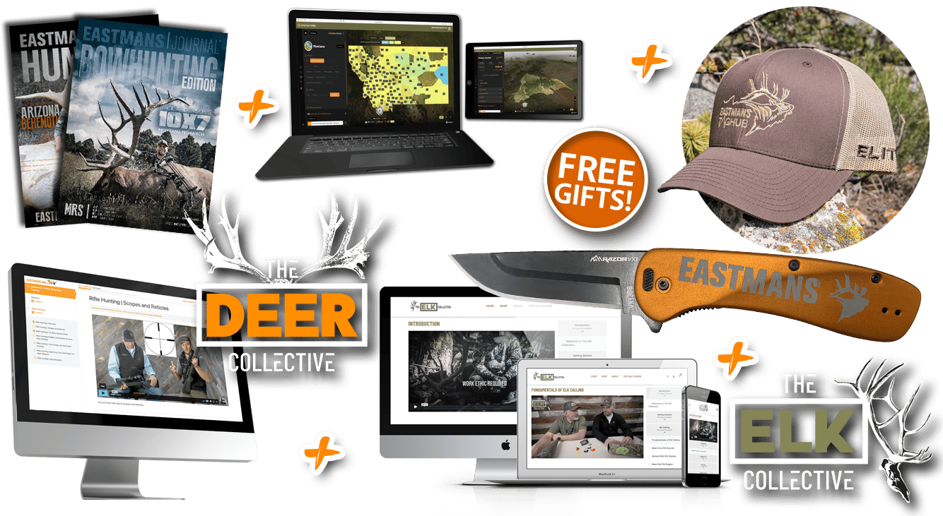 3 for 1_ECDC_TH_Hat_EDC_Banner