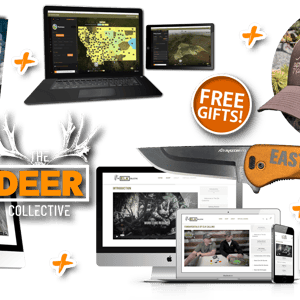 Eastmans' Elite Membership - TH Eastmans' Elite Bundle PLUS FREE GIFT WEB - VX1EDC