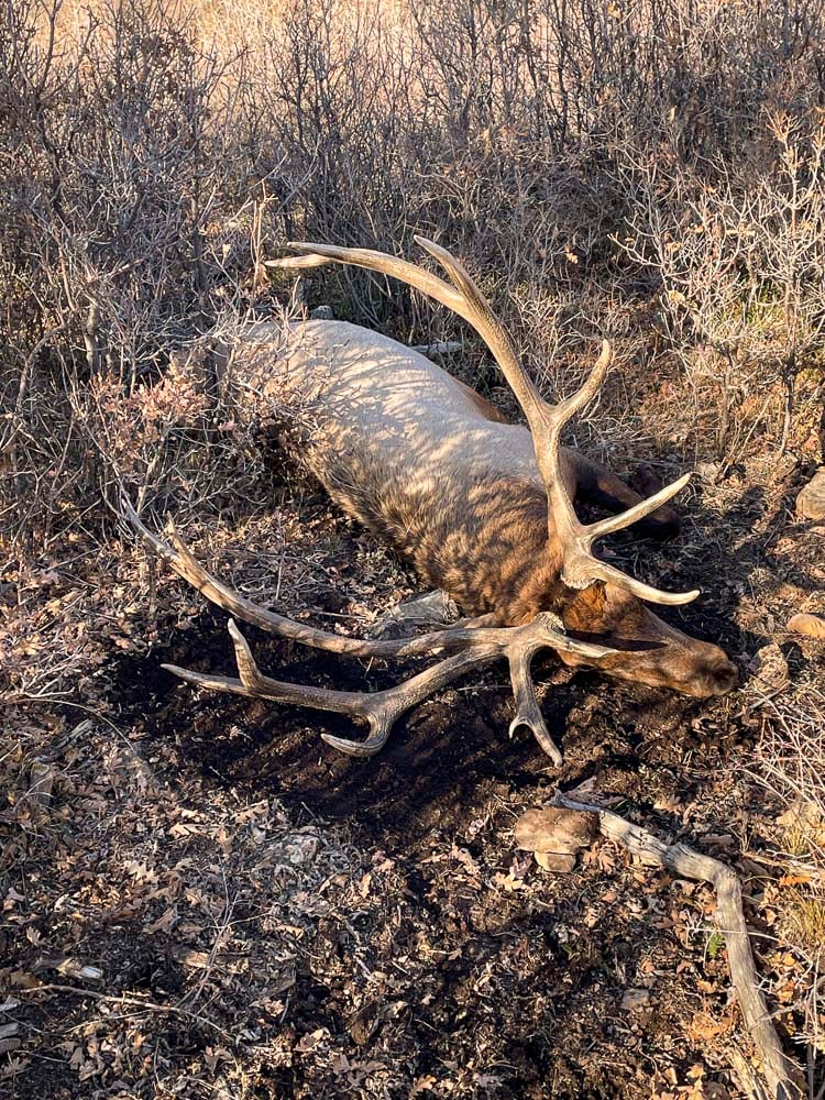 111224_Brian Caraway-ELK-CO-DIY-PL_IMG_0103