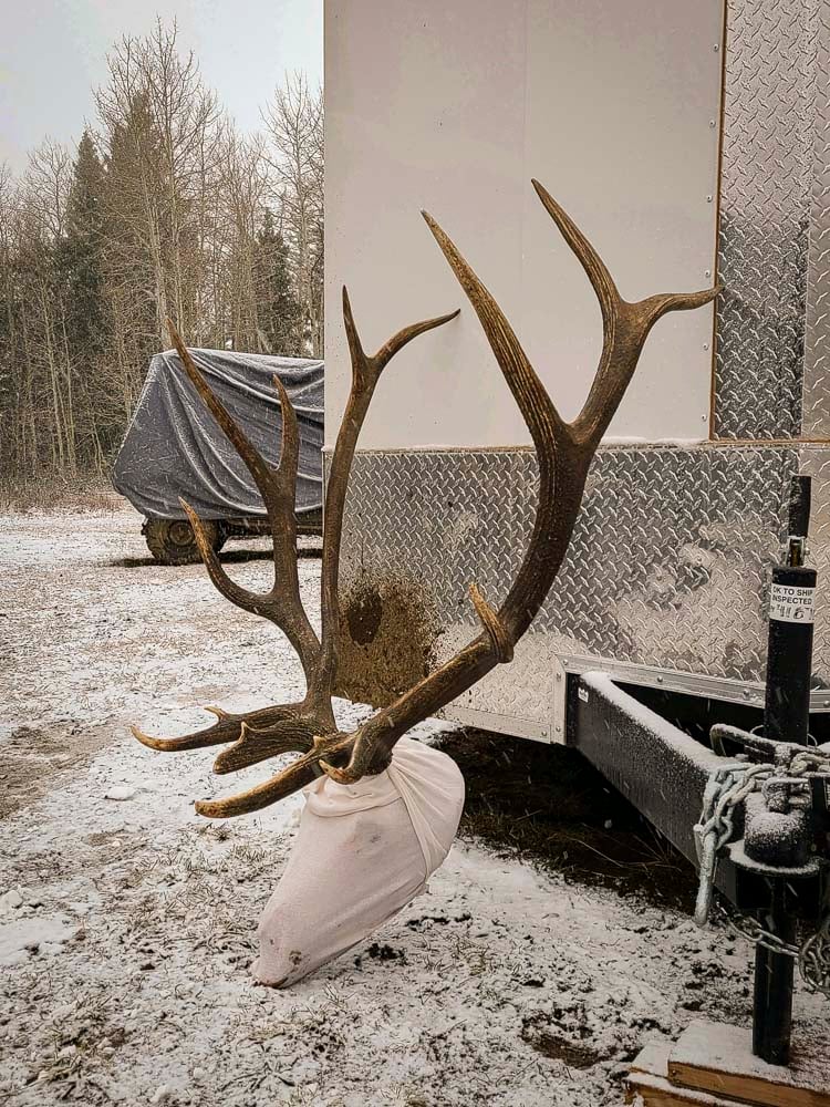111224_Brian Caraway-ELK-CO-DIY-PL_IMG_0165