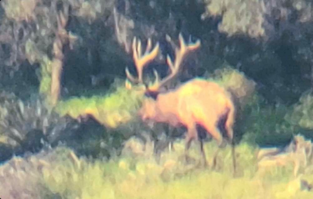 112624_Dustin Boni-ELK-AZ-DIY-PV_Screenshot_20210911-082544_Gallery0811