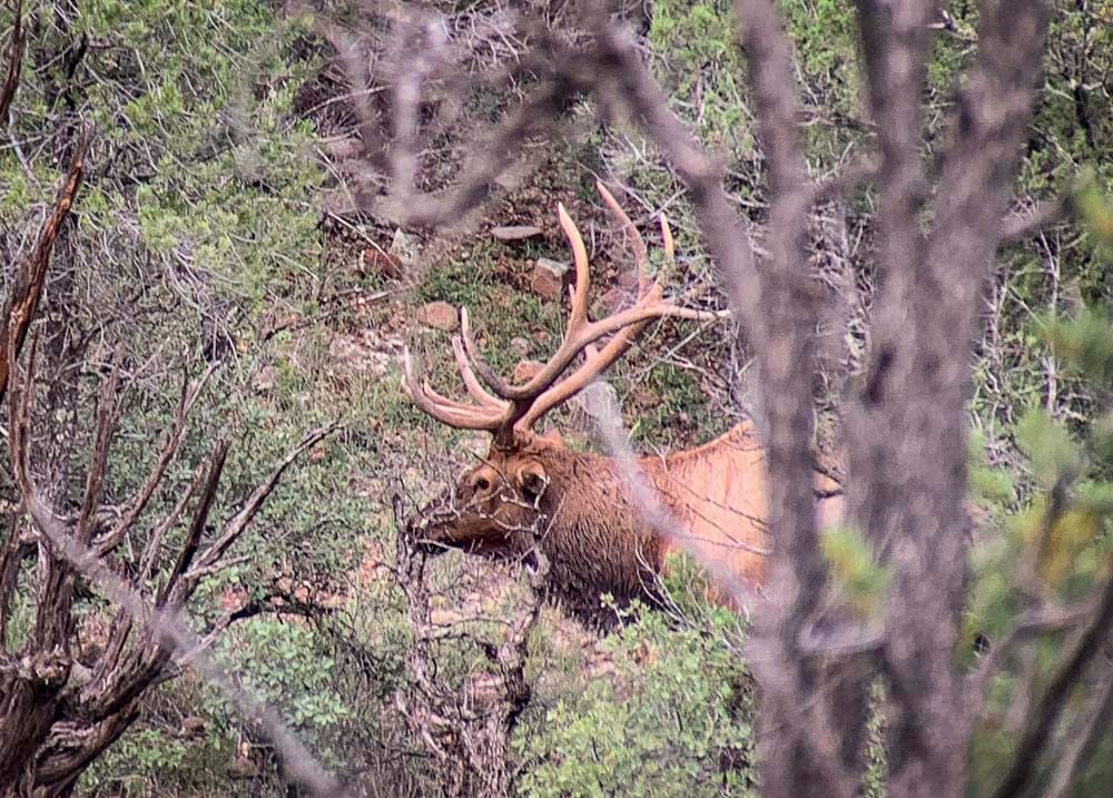 122424_Jake Richardson-ELK-AZ-DIY-PL_IMG_2737