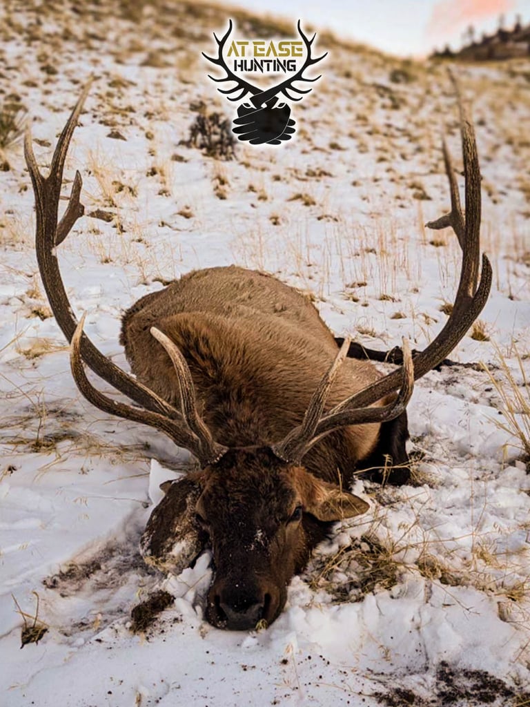 At East Hunting_Watermark_0004_Logo copy 4