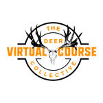 The Deer Collective