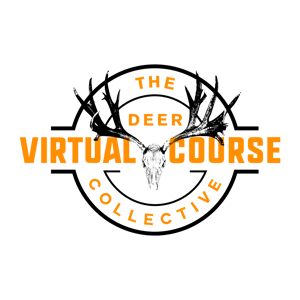 The Deer Collective