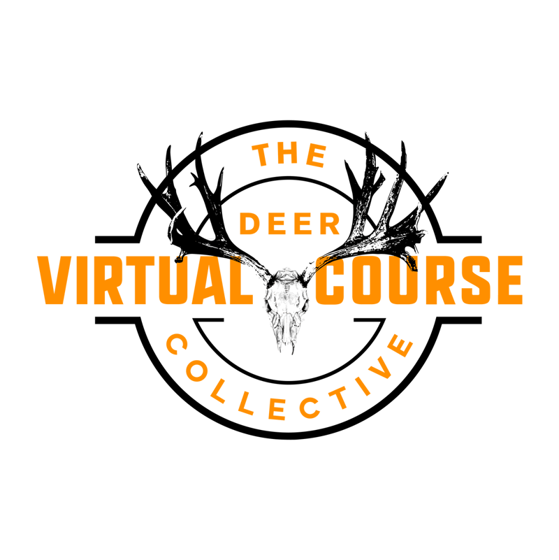 The Deer Collective