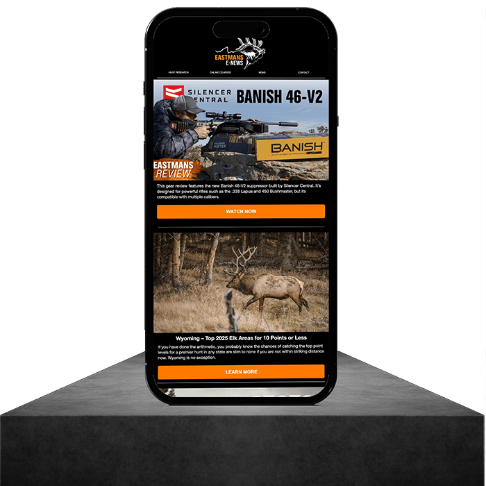 Phone Mockup 2_Web