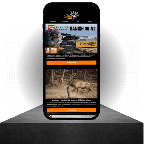 Phone Mockup 2_dots_Web