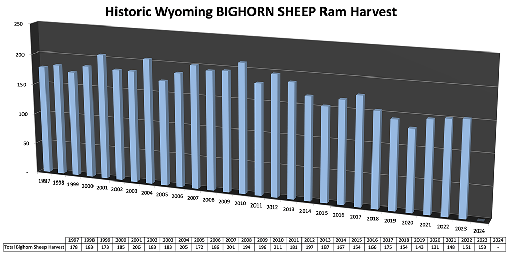 Historic Wyoming BIGHORN SHEEP Ram Harvest