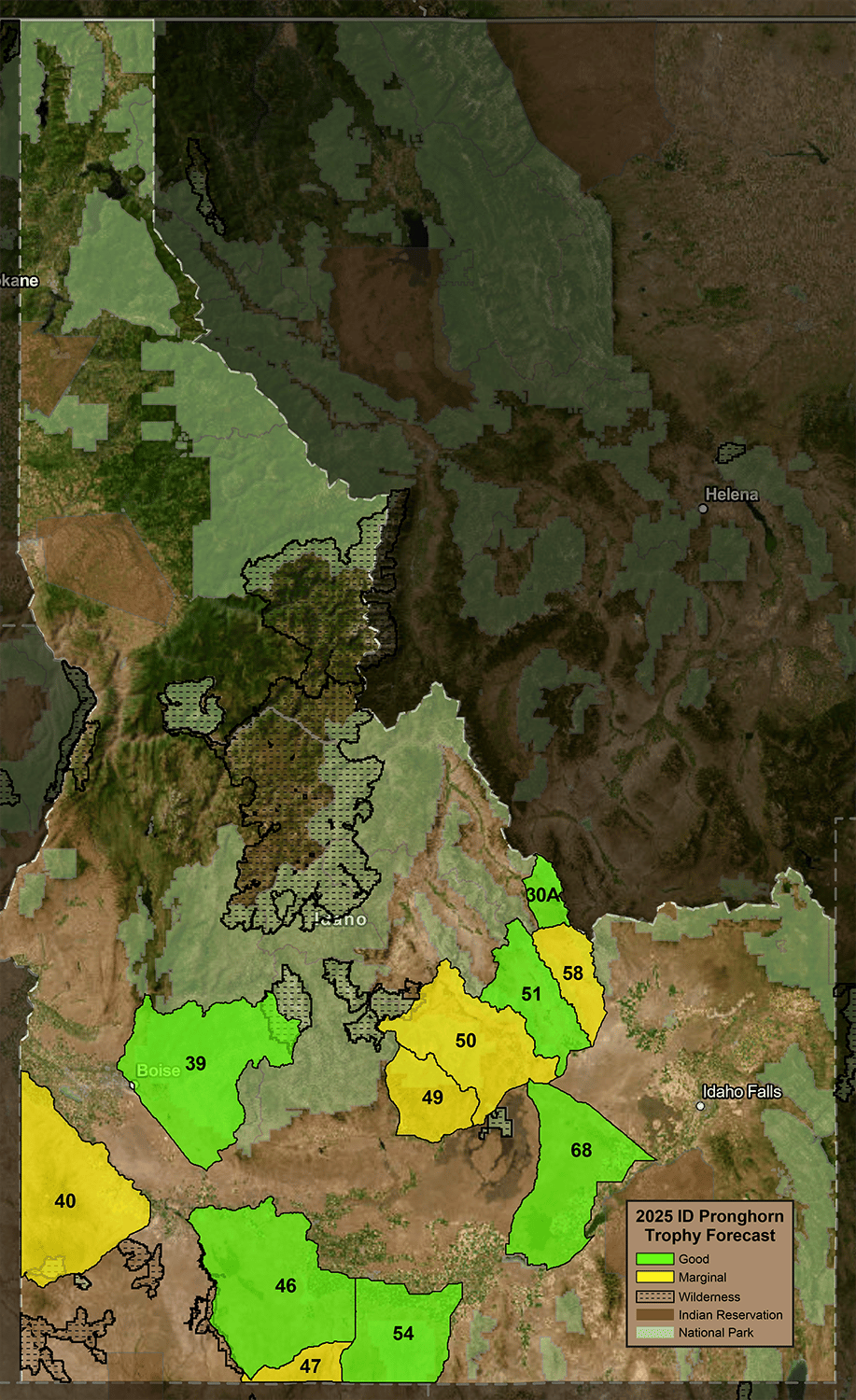 ID Pronghorn Trophy Forecast
