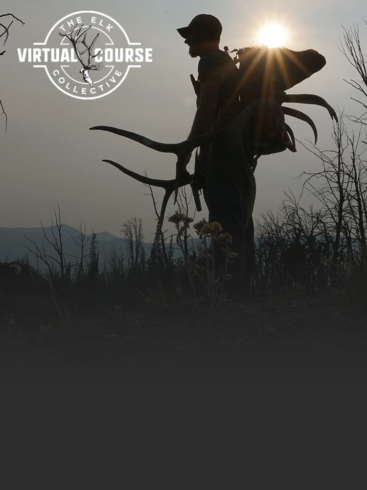 Eastmans-Elk-Collective-Virtual-learning-course