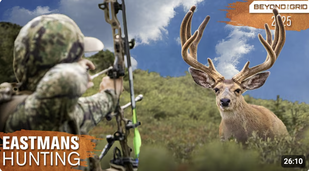 Screenshot 2025-07-28 at 5.22