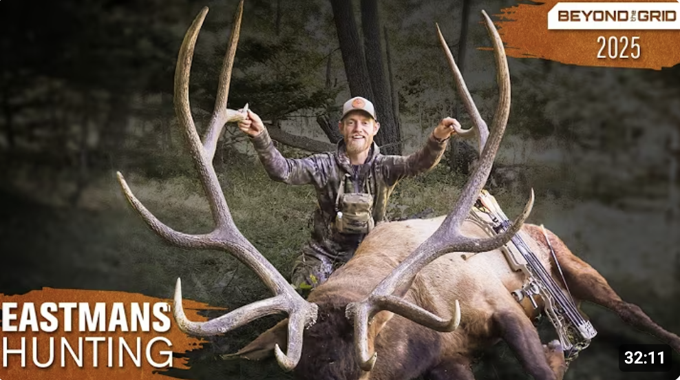 Screenshot 2025-07-28 at 5.22