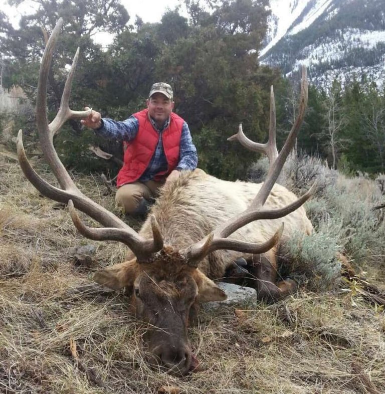 Elk (23)