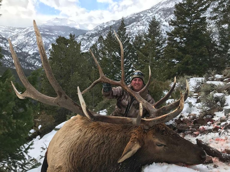 Elk (27)