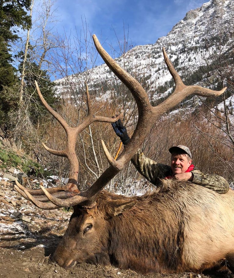 Elk (28)