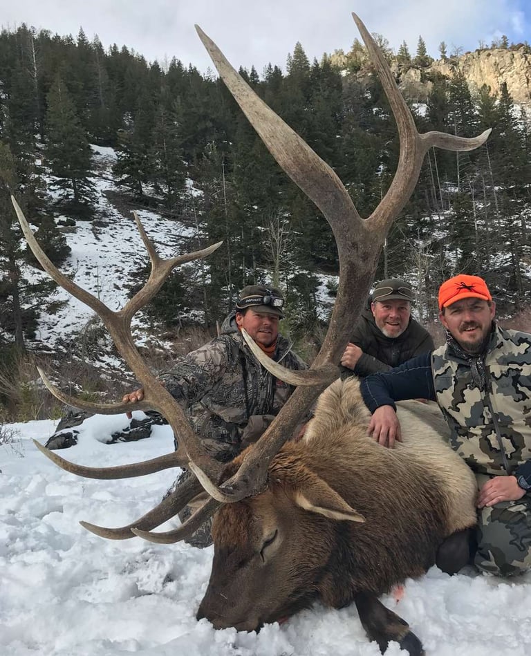 Elk (29)