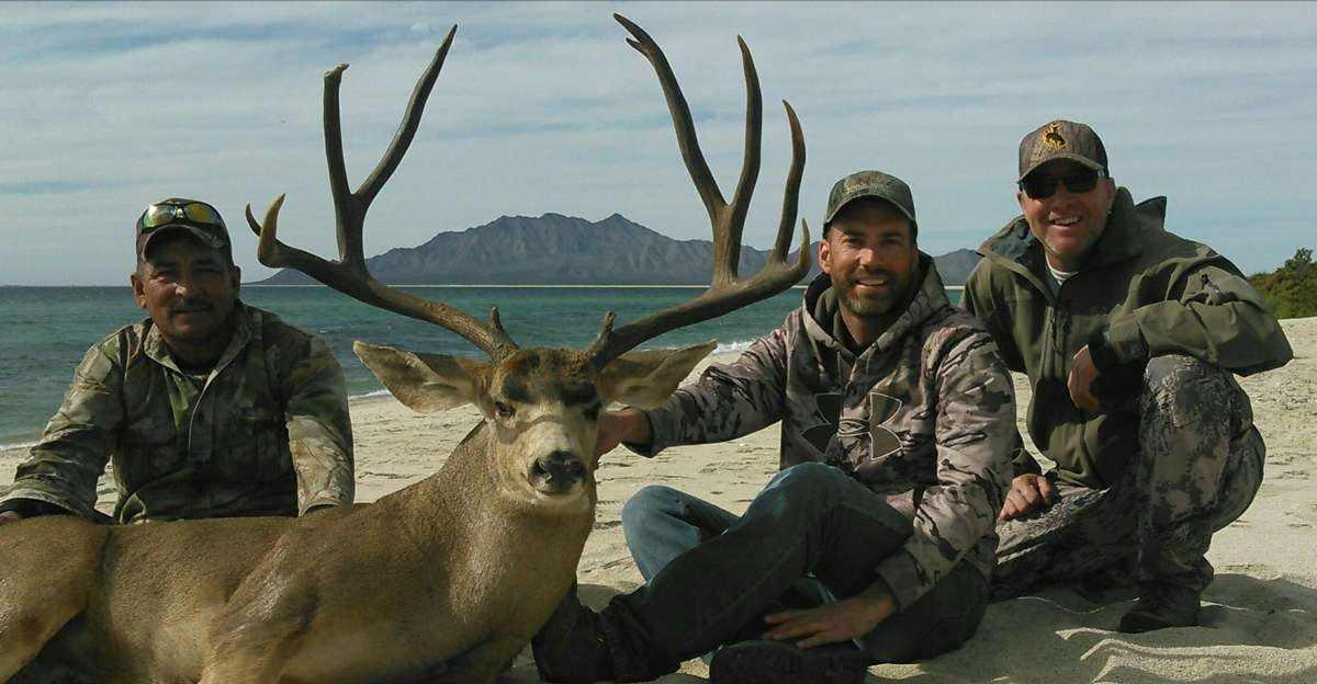 Mexico Coues Deer