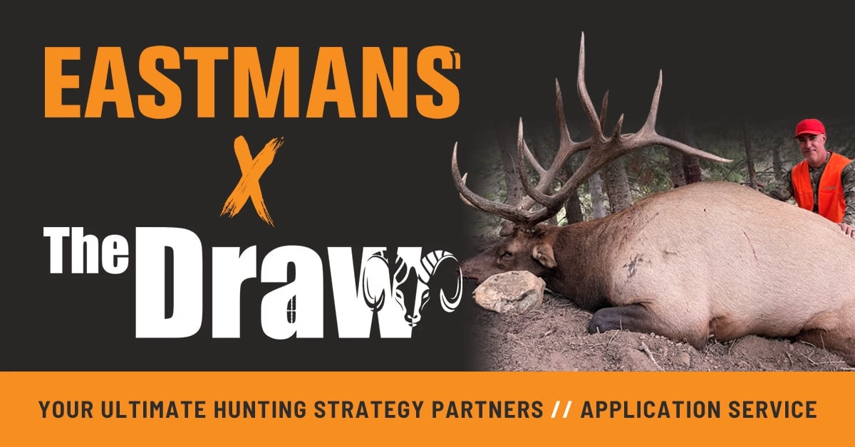 Eastmans X The Draw copy