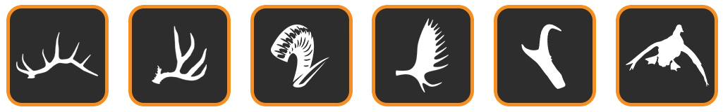 The Draw Icons copy