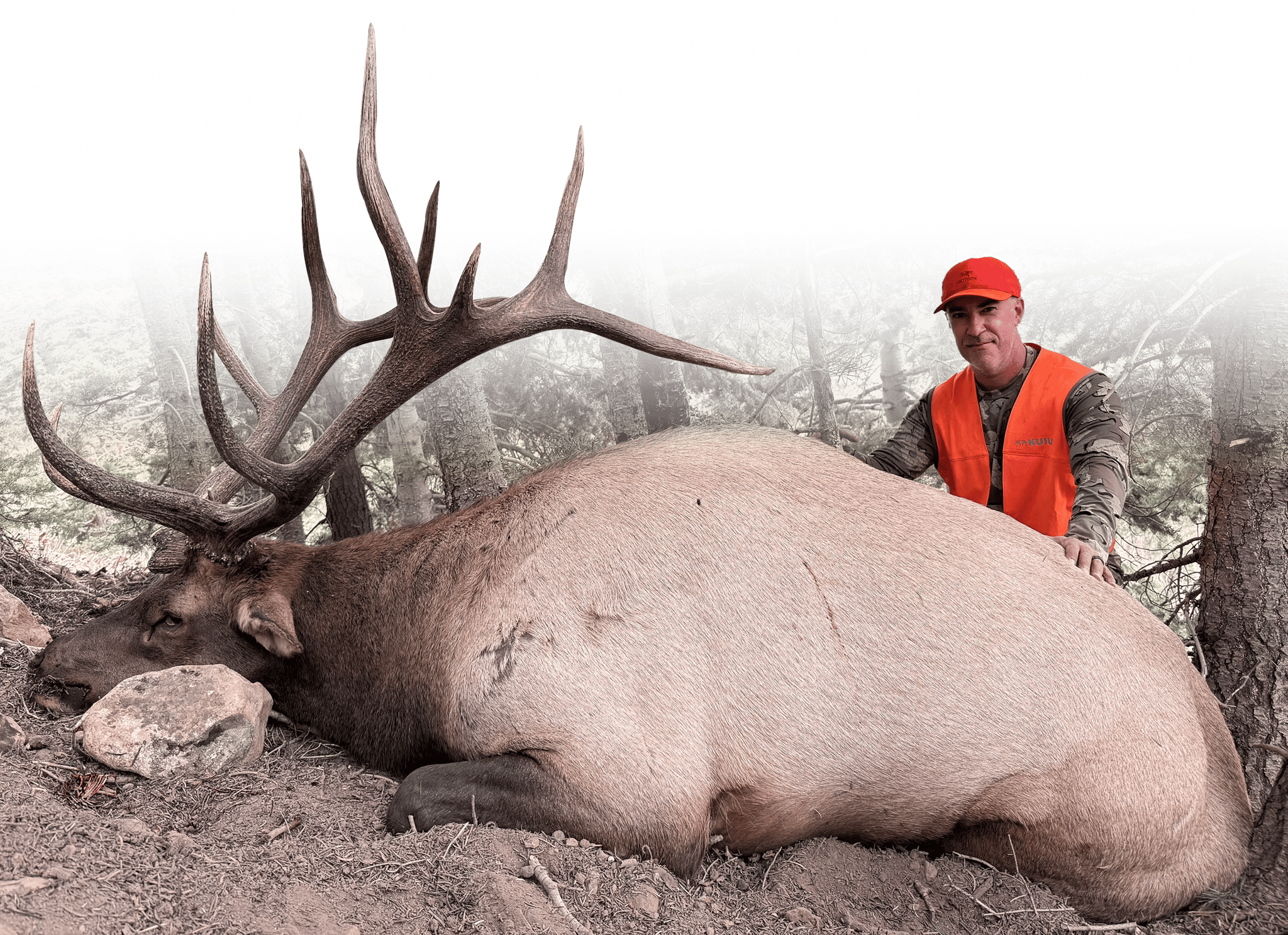 The Draw x Eastmans Successful Elk Applicatoin Hunter copy