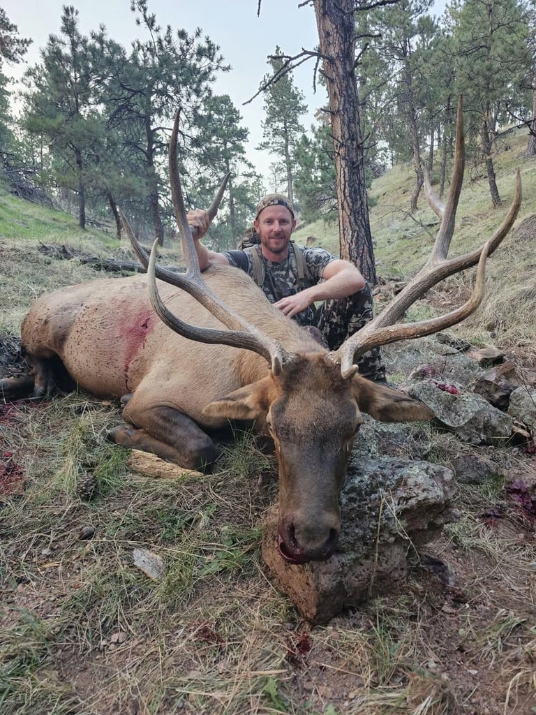 459362323_458548130500166_8689785258381265006_n