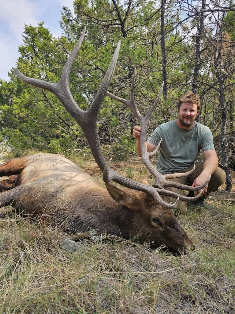 459561583_459443403743972_427518874369592843_n