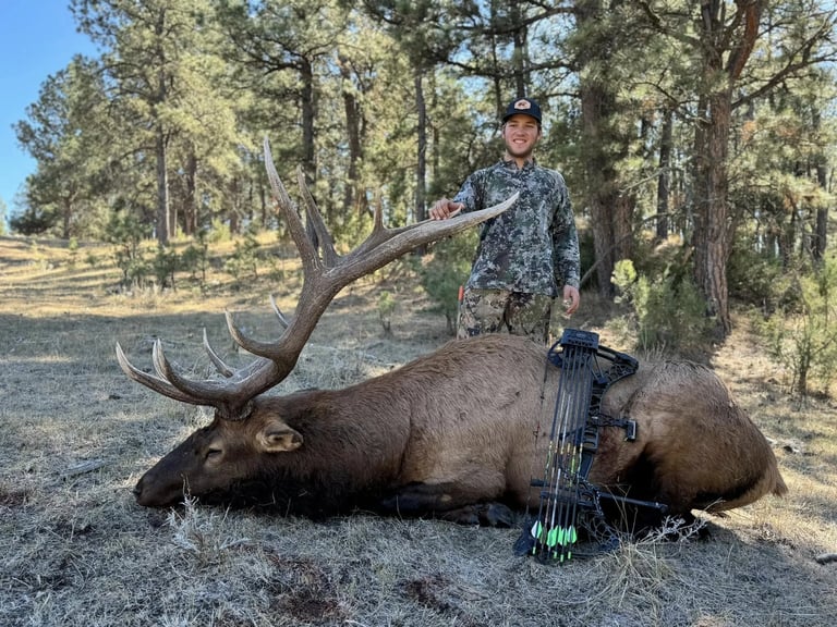 461465156_470444069310572_2126465248665305866_n