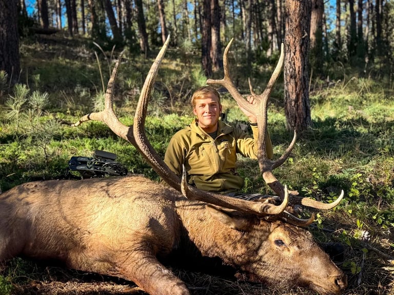 461512925_470444052643907_1351307737919571433_n