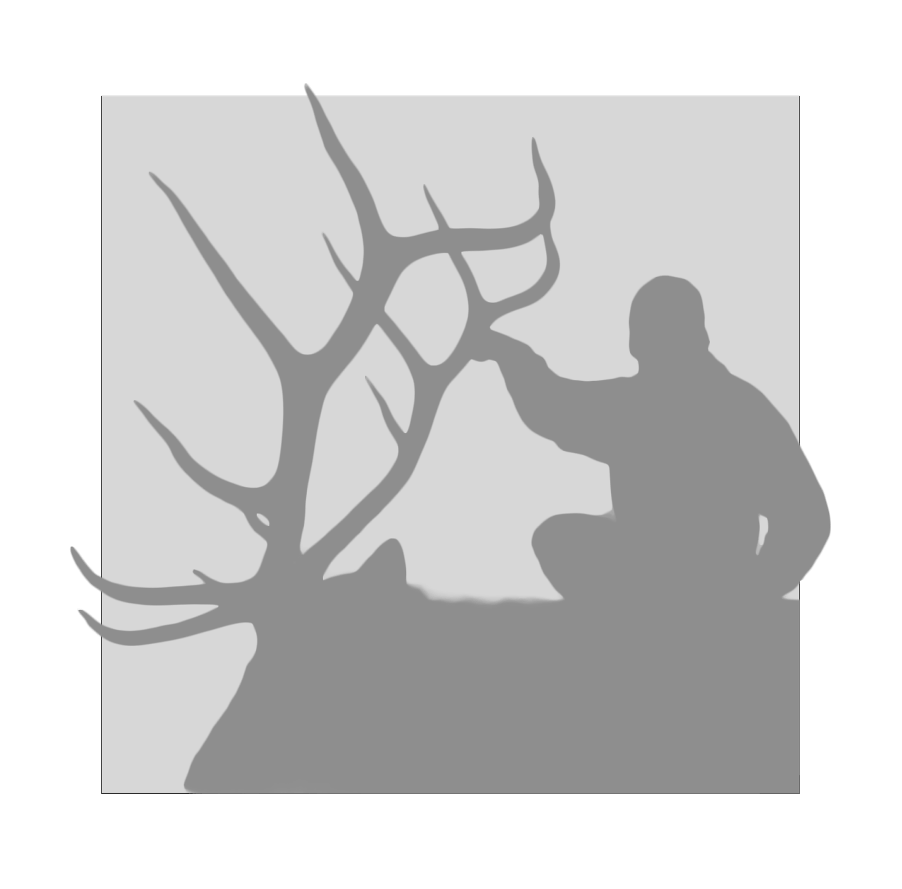 Profile Pic_ComingSoon_Elk
