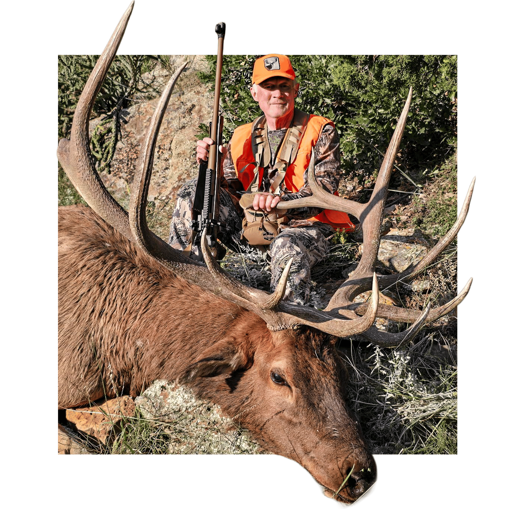 Profile Pic_Dave Shaffer