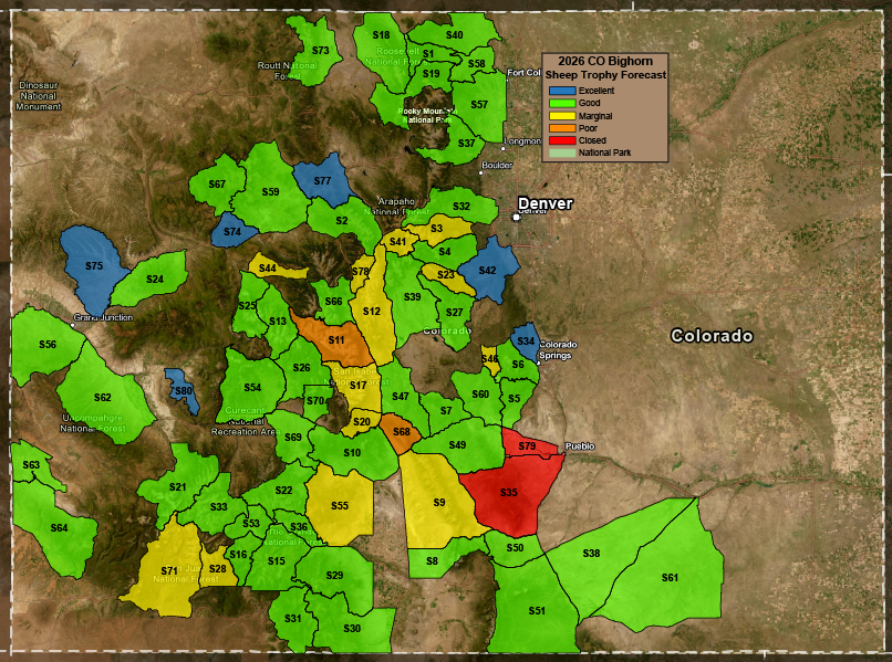 2026 CO Bighorn Sheep Trophy Forecast