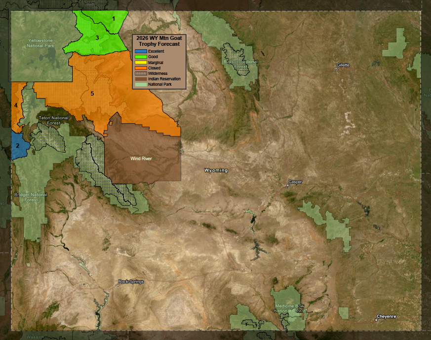 2026 WY Mtn Goat Trophy Forecast