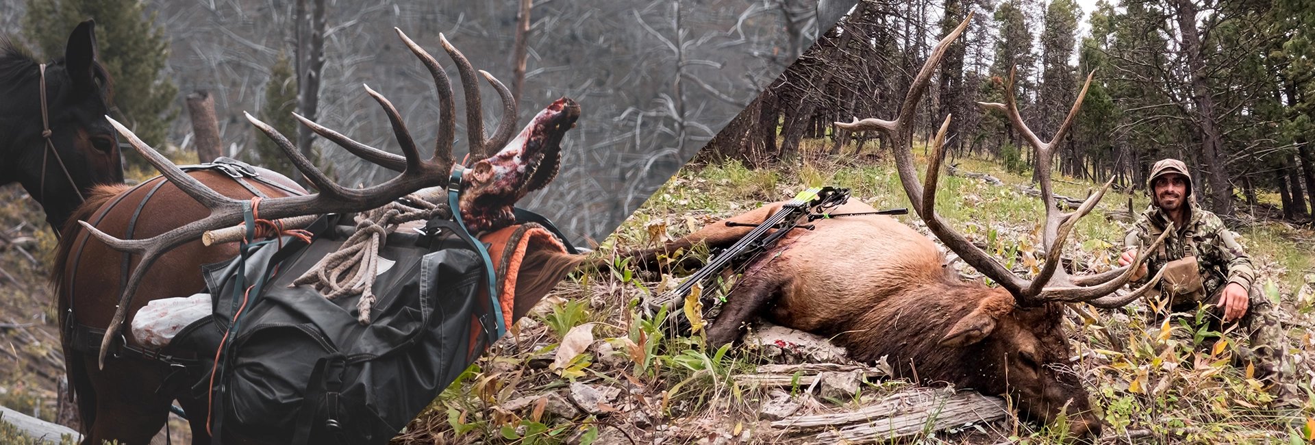 Eastmans Elk Collective Brian Barney Elk Hunting Teacher