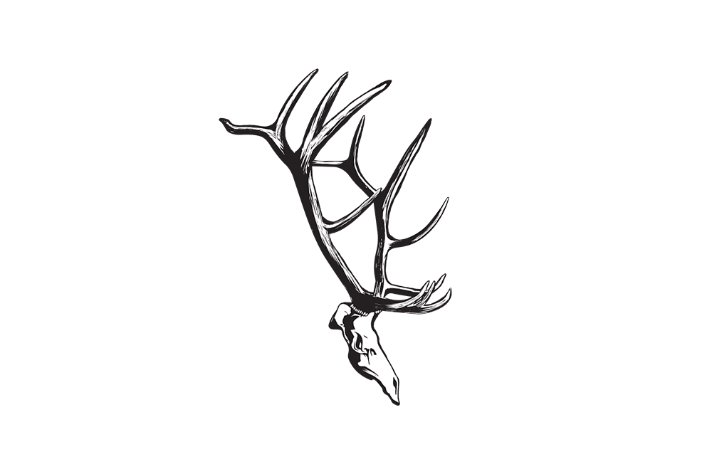 The Elk Collective Virtual Course Stamp