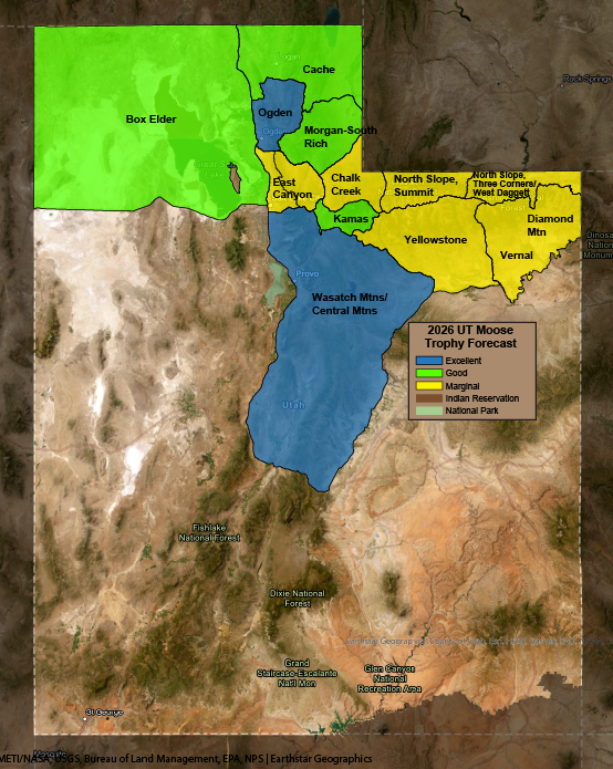 2026 Utah Moose Trophy Forecast