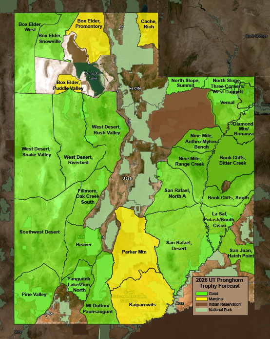 2026 Utah Pronghorn Trophy Forecast