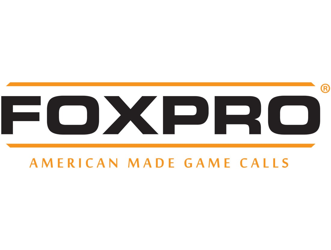 FoxPro
