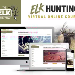 The Elk Collective