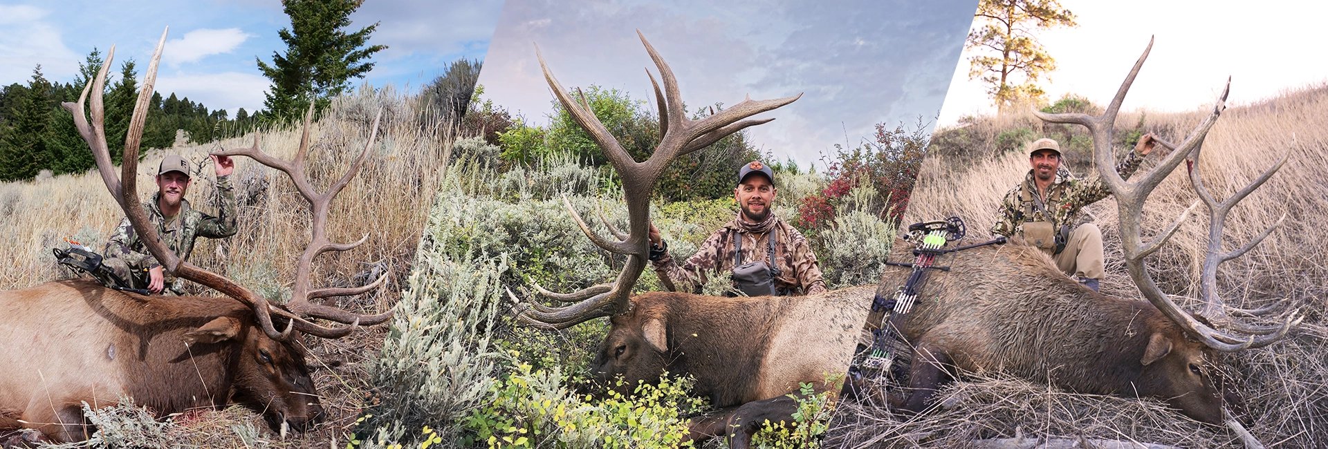 Eastmans-Elk-Collective-Virtual-Online-Hunting-Course-Success-Photos