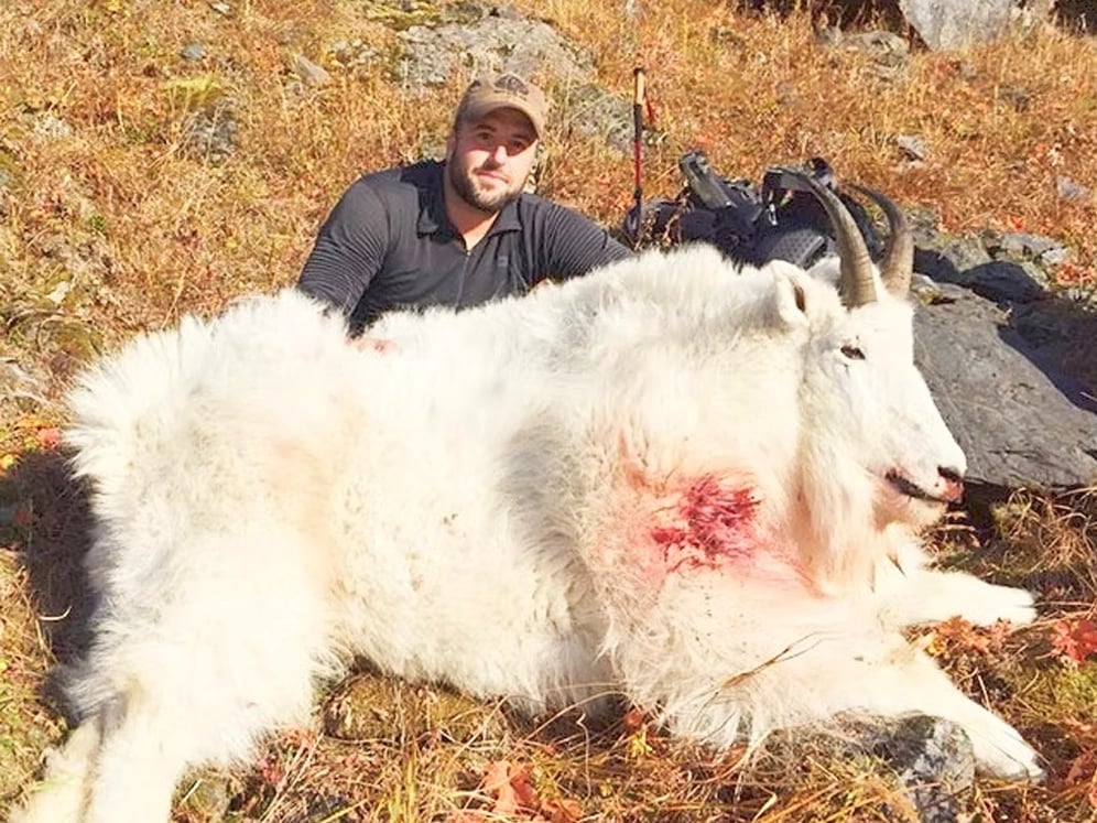 Eastmans-The-Draw-Alaska-Guided-Mountain-Goat-Hunts