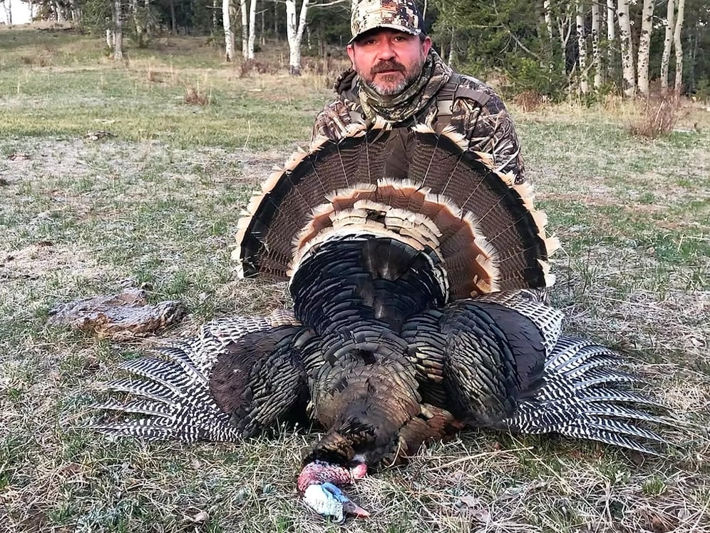 Eastmans-The-Draw-Colorado-Guided-Merriam-Turkey-Hunts