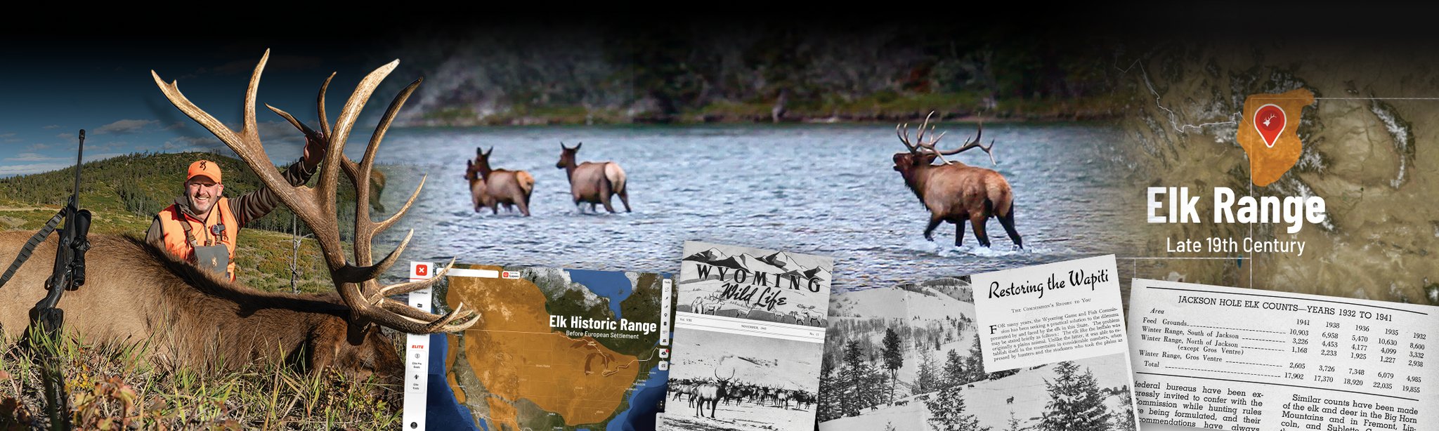 Elk Film Footer copy