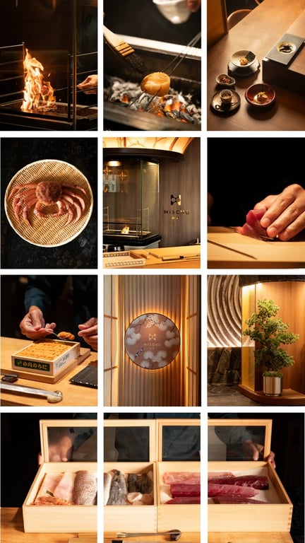 Misono feed design