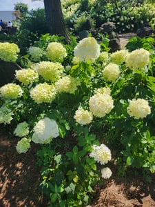 도토리맘13 프로필 이미지