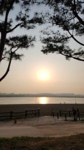 판매자 프로필 이미지