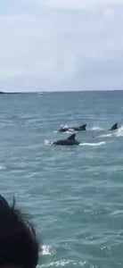 판매자 프로필 이미지