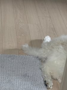 판매자 프로필 이미지